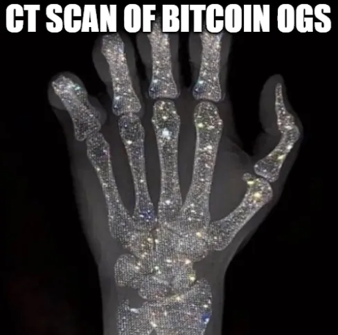 Bitcoin OGs